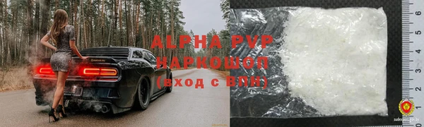 СК Алексин