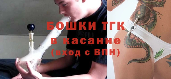 СК Алексин