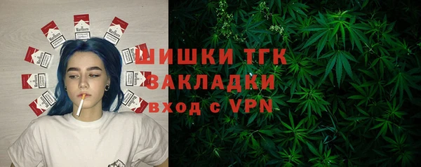 СК Алексин
