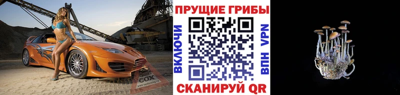 Псилоцибиновые грибы Magic Shrooms  Боровск 